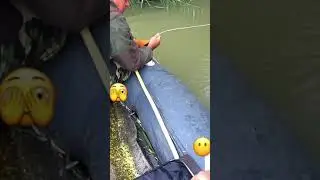 Паша!!! Держи его!!! Огромный сом!!!