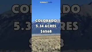 5.34 acres in Colorado for $6568 #foryou #fyp #realestate #colorado #property #shorts #land #usa