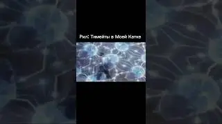 Рил: Тиммейты в Моей Катке #csgo #ксго #counterstrike #standoff2 #gaming #memes #рофл #игры #кс