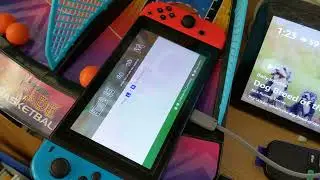 Testing Nintendo switch on Dell USB c adapter to HDMI. NO work. Need to get special Nintendo Dock