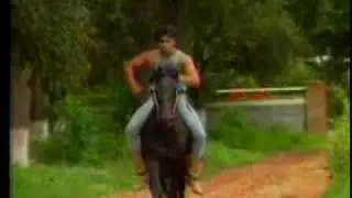 Mi amigo Bronco