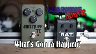 Rat into Green Russian Big Muff Pi?