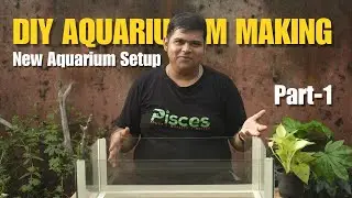 DIY AQUARIUM MAKING || NEW AQUARIUM SETUP GUIDE || AQUARIUM MAKING TUTORIAL || AQUARIUM SETUP IDEA🤔