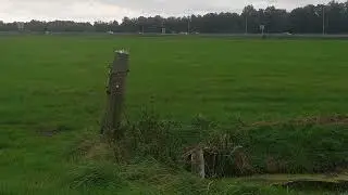 something short