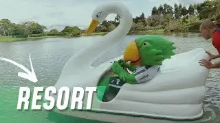 PARTICIPE DO RESORT PALMEIRAS!