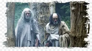 Secret knowledge of the druids [Seven days of history]