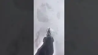 болота больше нету