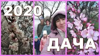 ДАЧА 2020 | И снова на даче с детьми | #5