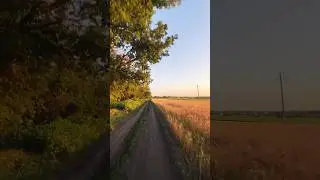 One road-forward 🚲 #bicycle #bike #bikelife #bmx #bicycleculture #viral #bmxtricks #shorts #reels