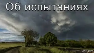 Об испытаниях  Г  С  Ефремов  МСЦ ЕХБ ПРОПОВЕДЬ 2020