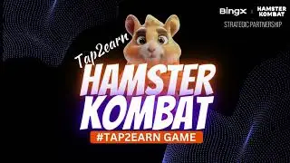 Hamster Kombat Mining New Project | Telegram Bot | Perfect Zone