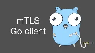 Mutual TLS (mTLS) Go client