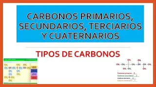 TYPES OF CARBON (PRIMARY, SECONDARY, TERTIARY AND QUATERNARY CARBON)