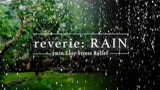Effortless 5 Minute Mindfulness for Busy People: Rainy Garden Guided Open Eye Meditation