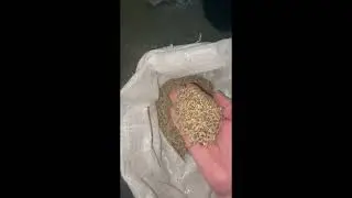 Видео друзей