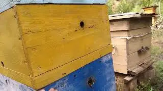 Не много,о ганемановской решетке...