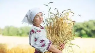 Народні пісні //Петрівки, жниварські, весільні
