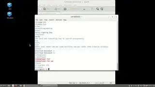 Copy Paste shortcut in the terminal
