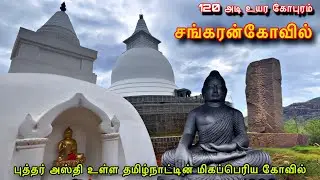✨A grand temple with Buddha's ashes | Buddha Temple Sankarankovil | Sankarankovil tourist places