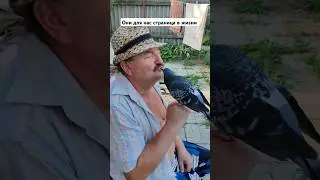 Они для нас страница в жизни...