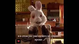 Задумайтесь💔
