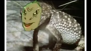 Geckos but almost every gecko is replaced with a yee