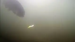 Подводное видео ловли форели.Видео не для слабонервных.