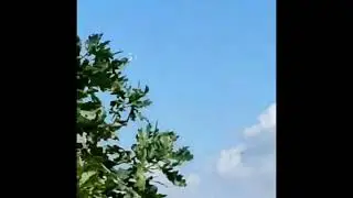 Работа ЗСУ
