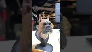 Boxer Dog sculpture, pet works, 