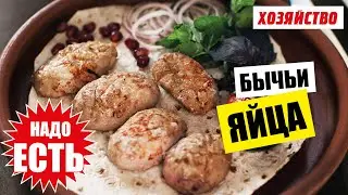 Бычьи яйца – такие вкусные, за уши не оттянешь