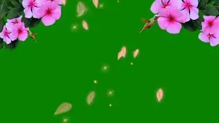 Falling Rose Petals ||Nature Green Screen ||Background Video Effects hd ||Flower Green Screen