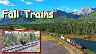 Fall trains series part 1 with a black bear too close for comfort!