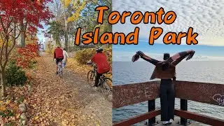 Обзор Electric cars : Tesla, Lucid Air / Осень в Торонто /  #canada #torontoislandpark
