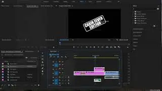 Adobe Premiere Pro | How to Export a 500 x 280 pixel video
