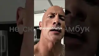 реакция скалы на бискаса 
