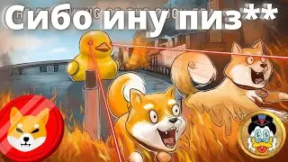 **ВЫЖИГАТЕЛЬ ЗВЕЗД** CИБО ИНУ КРИПТОВАЛЮТА. ПРОГНОЗ ШИБЫ. Rich quack coin (RichQUACK.com) (QUACK)