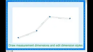 PLABEL VCL 3.0 Delphi Components. Dimension styles.