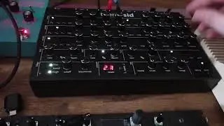 Therapsid hard synced PWM 6581