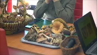 Spotkanie o grzybach