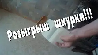 РОЗЫГРЫШ!!!!ПРОЗРАЧНАЯ ШКУРКА НА САМОКАТ!!!▼▼▼ЧЕКАЙ ОПИСАНИЕ▼▼▼
