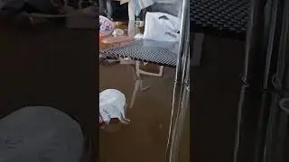Обстановка в домах Орска после затопления 