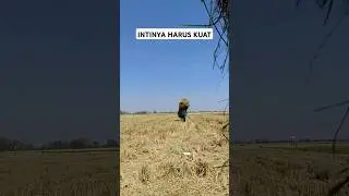 Semangat terus buat kalian semua! #shortsvideo #trendingshorts #fypp