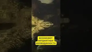 Фриланс и простые заказы