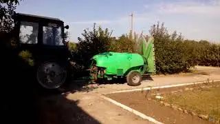 Поражение вишневого сада клещами и борьба с ними