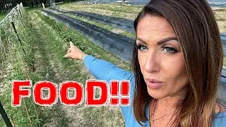 Progress The Farm!  The Garden Is Taking Off And The Livestock Is Coming Soon!