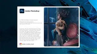 Adobe Photoshop 2020 - Le novità di Camera Raw 12.3