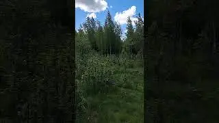 Кто в доме хозяин ?