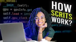 Dive Deeper into Unity 2D Game Development: Understanding Scripting. Scripts breakdown