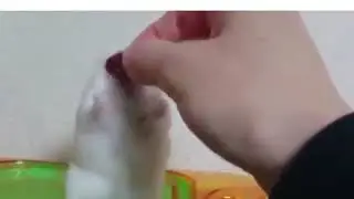 Обида,Смотреть всем 😭