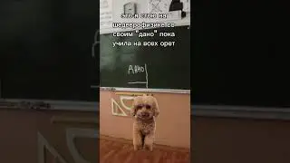 а вы любите физику? 